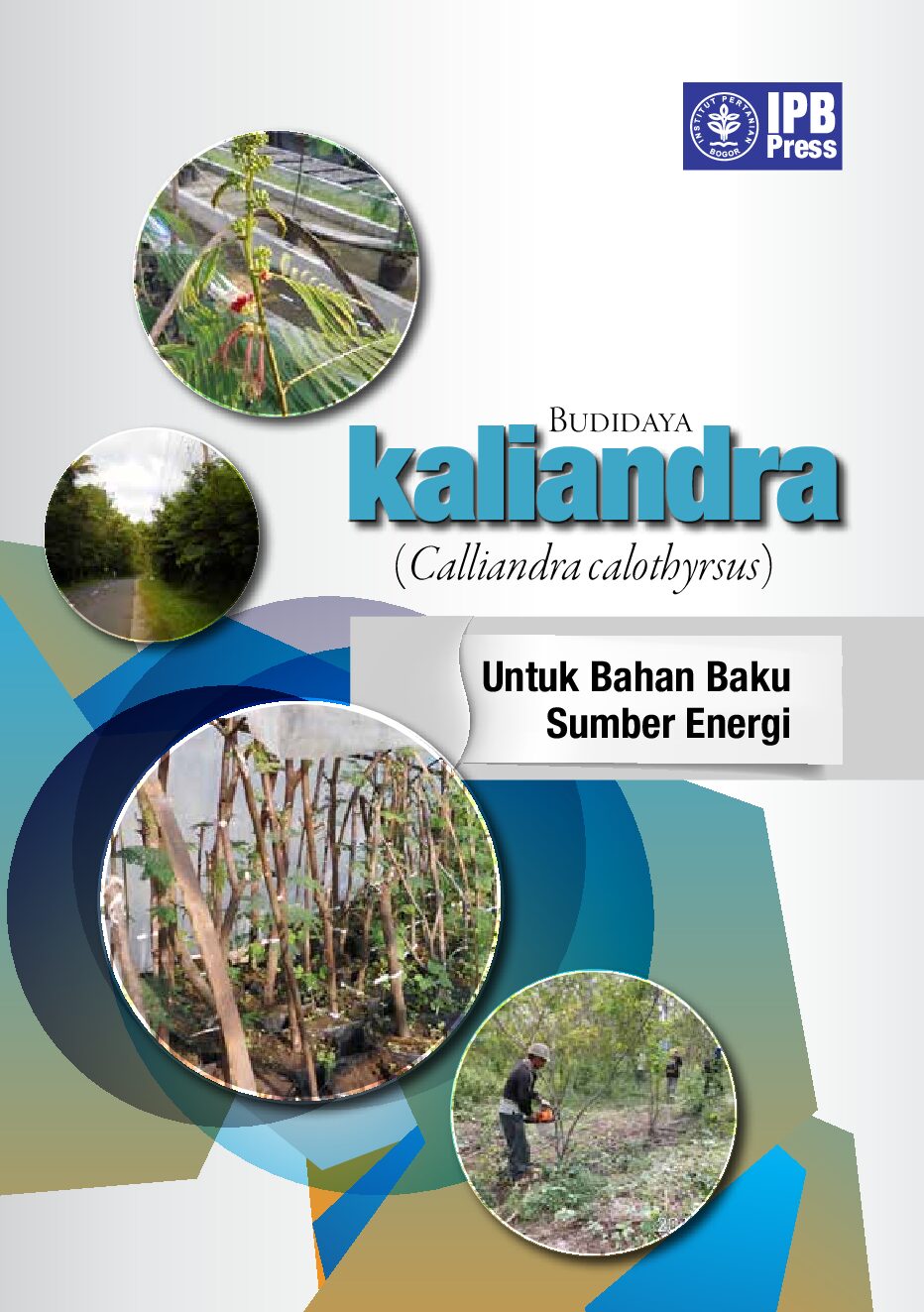 Cover Budidaya Kaliandra (Calliandra Untuk Bahan Bakar Energi Rina Laksmi 2014